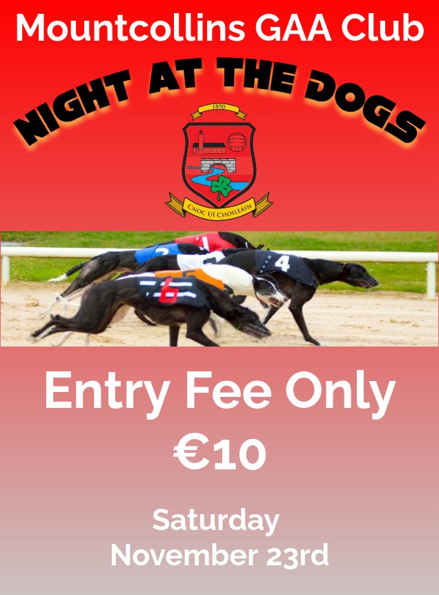 NIGHT AT THE DOGS