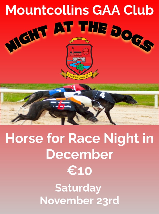 NIGHT AT THE DOGS